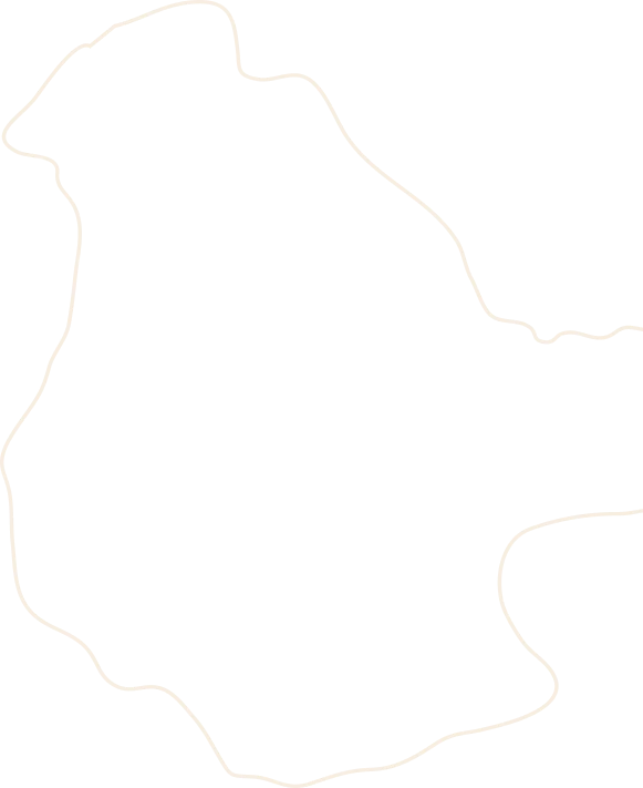 vector