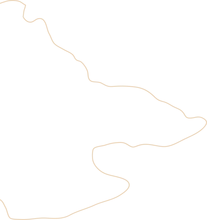 vector
